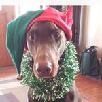 Lisa Varlichi Canton - @lisamvc4 - Instagram