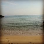 Lisa_Capozzi♡♡♡ - @capozzi2982 - Instagram