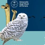 Lisa Carrera - Università di Ferrara - @avifauna_summerschool.unife - Instagram