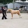 Lisa Cataldo - @lisa.cataldo6 - TikTok