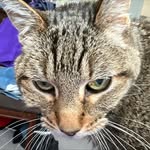 Lisa Cataldo Castaneda - @leemarie2272 - Instagram
