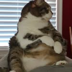 Lisa Cataldo Williams - @nonnacat58 - Instagram