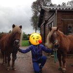 Cato Charly & Hessel - @lisa_cato_charly_extra - Instagram