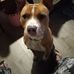 Lisa Cato - Facebook