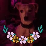 Lisa Caudill - @caudilllisa620 - Instagram