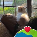 Lisa Hill Cerny - @lisaliza112 - Instagram