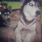 Lisa Chaffee - @startmsta - Instagram
