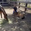 Lisa Lee Chaisson - @lisa.lee.chaisson - TikTok