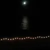 Lisa Chalkright - @lisachalkright - TikTok
