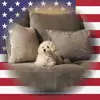 lisamariechar - @lisamariechar - TikTok