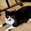 Lisa Chesebro - @lisa.chesebro0 - TikTok