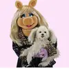 L - @choochoolisa - TikTok