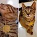 Lisa Choo - Facebook