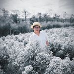 Lisa Christianti - @lisachristianti - Instagram