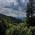 Lisa Christopherson - @acatcalledpiggy - Instagram