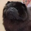 Lisa Christopherson - @lisa.christophers - TikTok