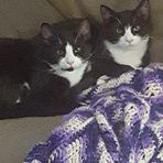 Lisa Davis Christopherson - Facebook