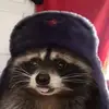 Lisa_Ciano - @lisa_ciano - TikTok