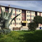 Dündar Çiloğlu Anadolu Lisesi - @dundarciloglu_anadolu_lisesi - Instagram