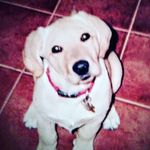 Lisa Clancy - @leeleeclancy - Instagram