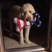 Lisa Clavette Deschenes - Facebook