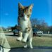 Lisa Carman - Facebook