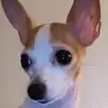 Lisa Collar - @lisa.collar - TikTok