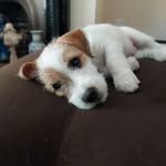 Lisa Comiskey Donnelly - @comiskeydonnelly - Instagram