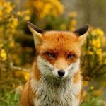 @_lisa_conard_06 - Instagram