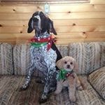 Lisa Conard-Jonet - @conardjonet - Instagram