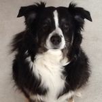 Lisa Conde - @lisaconde53 - Instagram