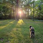 David Lisa Conlan - @d.brian.c - Instagram