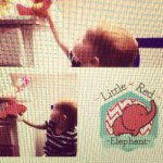 Lisa Conlan - @thelittleredelephant - Instagram