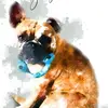 Lisa Constable292 - @lisacnstbl - TikTok
