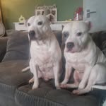 Lisa - @lisaconstable74 - Instagram