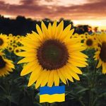 Lisa Coomes - @lisa.coomes.9 - Instagram