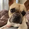 Lisa Coronado - @lisacoronado7 - TikTok