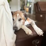 Lisa Coronado Goodman - @ldgoodman24 - Instagram