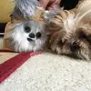 Lisa Corpus337 - @lisacorpus337 - TikTok