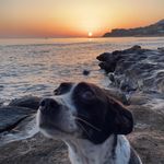 lisa - @lisacostee - Instagram