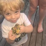 Lisa Counterman - @counterman_lisa - Instagram