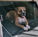 Lisa Courson - Facebook