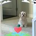 Lisa Creech - Facebook