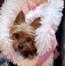 Lisa Marie Creech-Kemplin - Facebook