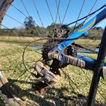 Lisa Crim - @crim3323 - Instagram