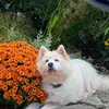 Lisa Critzer(MIMI) - @mimi57992 - TikTok