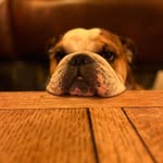 Lisa Crompton - @crompton4052 - Instagram