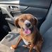 Lisa Cuffe - Facebook