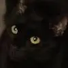 Lisa Cull - @lisa.cull8 - TikTok