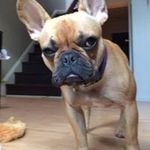 lisa - @lisacullingworth - Instagram